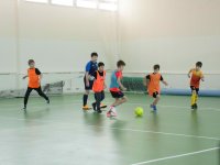 IMG_9512
